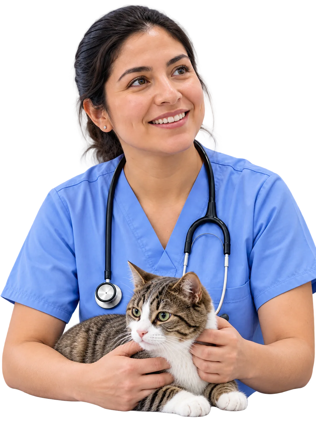 Veterinarian in blue scrubs holding a tabby cat